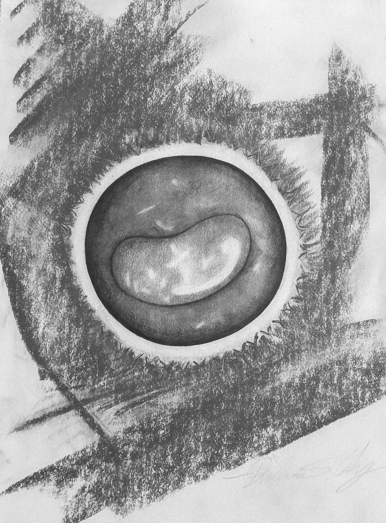 The Birth Prophetic Art